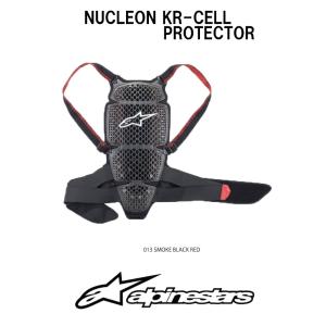 ダイネーゼ（DAINESE） BAP2000/8 脊椎プロテクター（バック