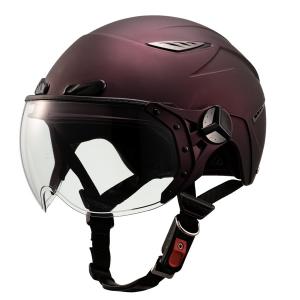 ハーレー スポーツスター 純正 ビキニカウル XL1200CX XL1200X
