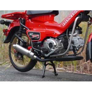 OVER RACING（オーバーレーシング） OVER オーヴァー SESMIC-mini