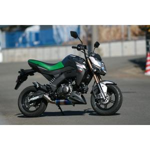 ストライカー（STRIKER） パワーミニ 【Z125PRO ステン/チタン ヒートカラー】 5129S-H｜motostyle