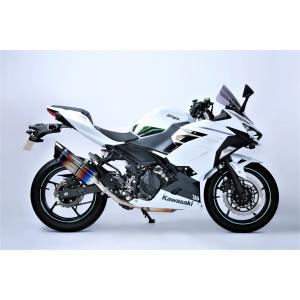 STRIKER（ストライカー） [インターモデル] SCスリップオンマフラー