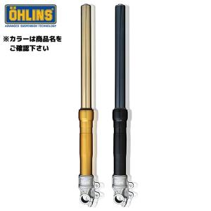 オーリンズ FS 621B ZRX1200 R/S（ALL） 正立フロントフォーク RWU Type ＜ブラック＞ OHLINS