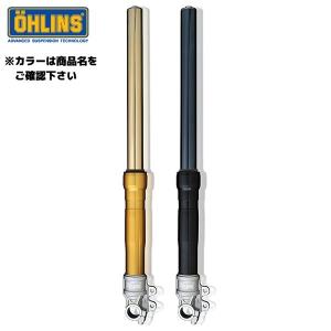 zrx1200ダエグ　オーリンズ グランドツイン OHLINS オーリンズ 【グランド・ツイン】 S36PR1C1L ブラック