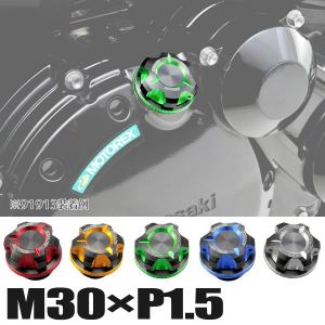 デイトナ オイルフィラーキャップ M30×P1.5 PREMIUM ZONE