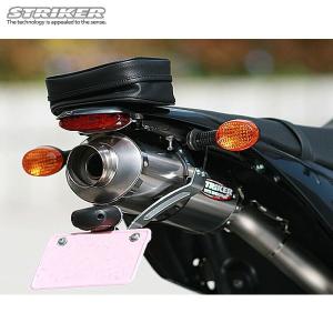 ストライカー キャノンタイプ専用フェンダーレス D-トラッカー125（10-） SS-FL108｜motostyle