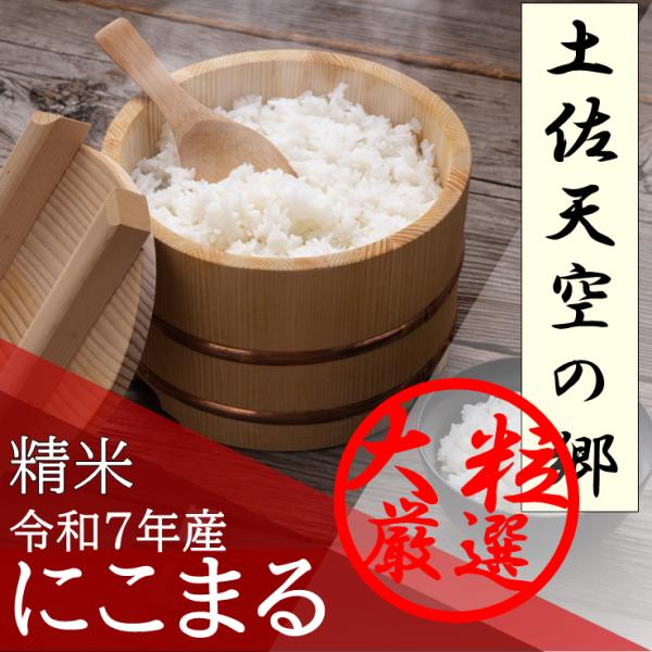 新米 土佐天空の郷 にこまる 精米 1kg 令和7年産 高知県産 産地直送 ブランド米 特別栽培米