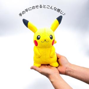 ポケットモンスター 誕生日 バルーン プレゼン...の詳細画像4