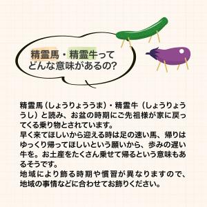 お盆飾り 精霊馬 瀬戸焼 盆提灯精霊揃え 飾り...の詳細画像2