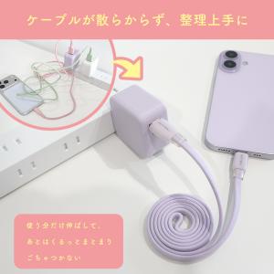 MOTTERU (モッテル) マグネットフラッ...の詳細画像2