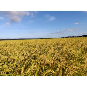 宮城県産 ブレンド米 〈精米 宮城米 5kg〉...の詳細画像3