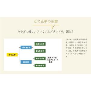 令和7年産 〈精米 だて正夢 10kg〉 宮城...の詳細画像2