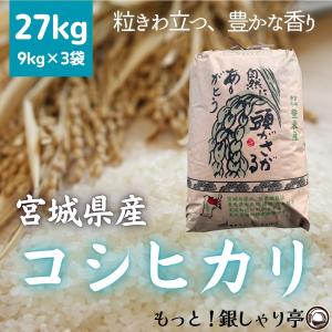 つや姫 令和7年産 〈精米 27kg〉 宮城県産 米 お米 白米 (9kg×3袋