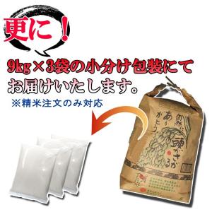 令和5年産 米 宮城県産つや姫27kg( 9k...の詳細画像1