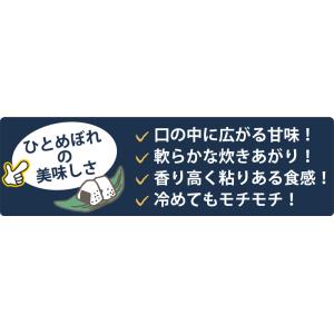 令和7年産 〈精米 ひとめぼれ 10kg〉 宮...の詳細画像4