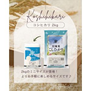 令和7年産 〈精米 コシヒカリ 2kg〉 宮城...の詳細画像1