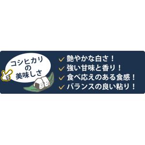 令和7年産 〈精米 コシヒカリ 2kg〉 宮城...の詳細画像3