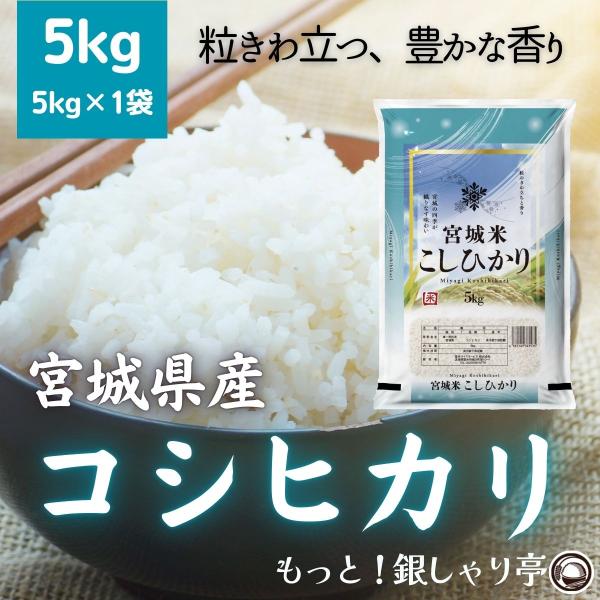 令和7年産 〈精米 コシヒカリ 5kg〉 宮城県産 お米 白米 送料無料 安い お中元 ギフト