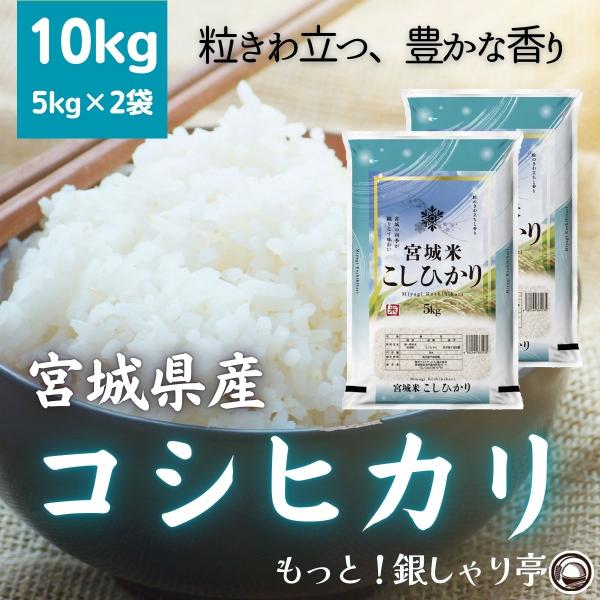 令和7年産 〈精米 コシヒカリ 10kg〉 宮城県産 お米 白米 送料無料 安い お中元 ギフト