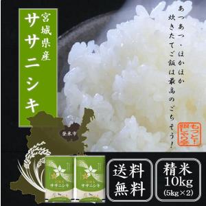 令和5年産  米 　米10kg 　宮城県産ササニシキ 10kg（5kg×2）  送料無料  精米　白米｜もっと!銀しゃり亭