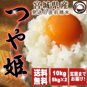 ＜SALE&gt;2年産  宮城県産つや姫 10kg （5ｋｇ×2） 送料無料  精白米