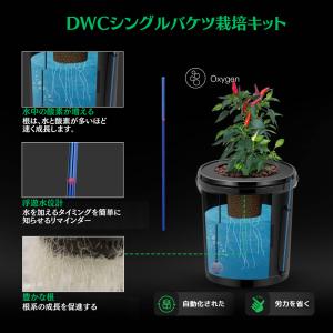 DWC水耕栽培 20リットル5ガロン シングル...の詳細画像2