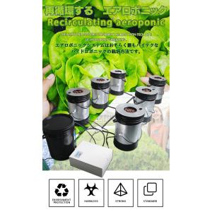 5バケツ再循環エアロポニック水耕栽培システム　５buckets aeroponics growing system