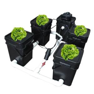 MOTTOGROW 5バケツ4サイトＲＤＷＣRecirculating Deep Water Culture 水耕栽培システムキット｜MOTTOGROW植物栽培機材道具倉庫