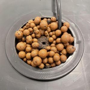 5バケツ4サイトRDWCRecirculati...の詳細画像4