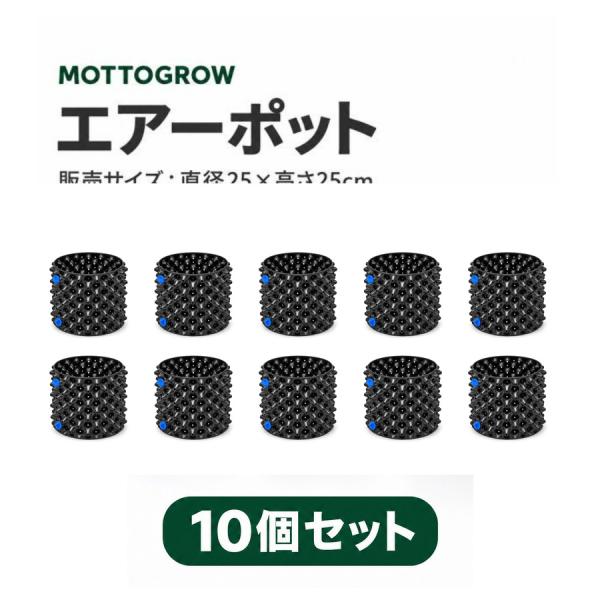エアーポット PE製 青ネジ 直径25×高さ25cm 10個セット