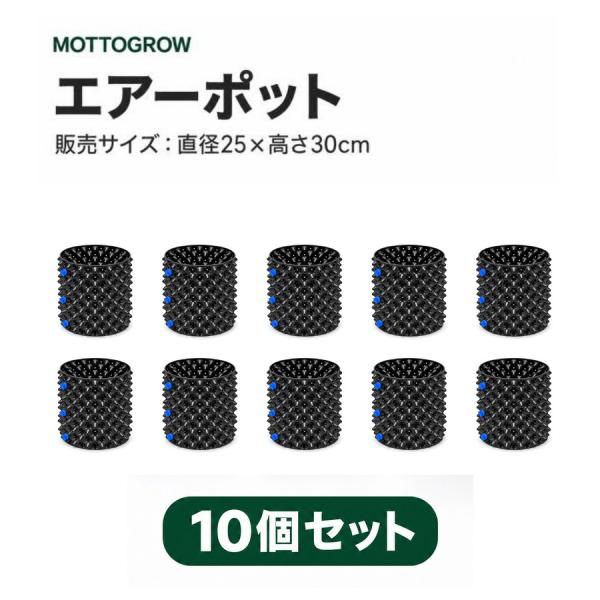 エアーポット PE製 青ネジ 直径25×高さ30cm 10個セット