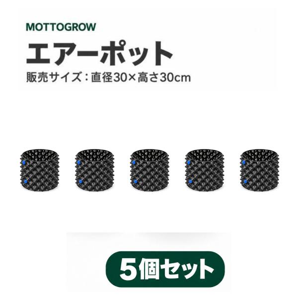 エアーポット PE製 青ネジ 直径30×高さ30cm 5個セット