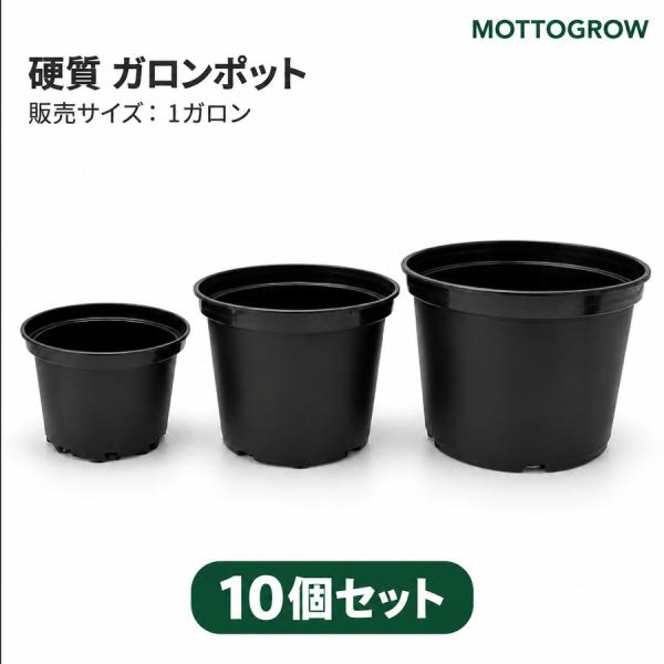 ガロンポット 1ガロン 硬質プラスチック 黒 10個セット