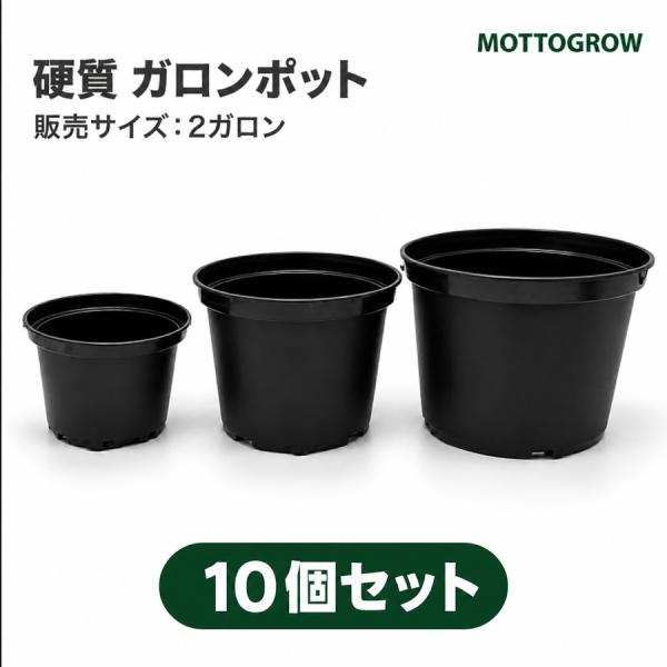 ガロンポット 2ガロン 硬質プラスチック 黒 10個セット