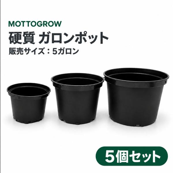 ガロンポット 5ガロン 硬質プラスチック 黒 5個セット
