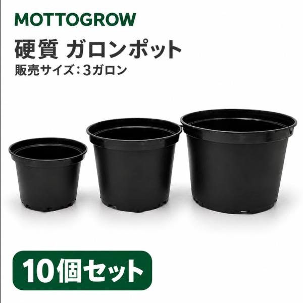 ガロンポット 3ガロン 硬質プラスチック 黒 10個セット