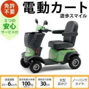 遊歩 スマイル ライトグリーン セリオ 非課税 シニアカート おすすめ