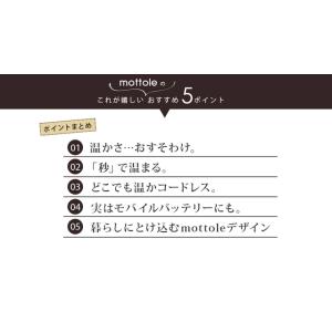 充電式カイロ 分離型 2個 モバイルバッテリー...の詳細画像2