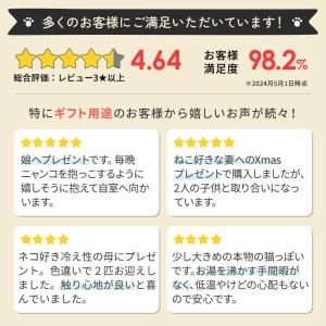 にゃたんぽ 湯たんぽ 充電式 蓄熱式 ねこ ぬ...の詳細画像2
