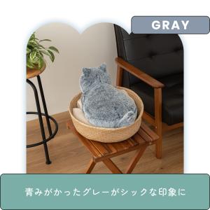 にゃたんぽ 湯たんぽ 充電式 蓄熱式 ねこ ぬ...の詳細画像5