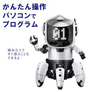 エレキット プログラミング・フォロ SPEAK for CHROME MR-9123（10歳