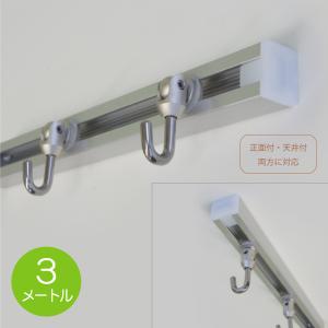 トーソー ピクチャーレールセット T-1/ナチュラル（シルバー） 3メートル（耐荷重30kg）