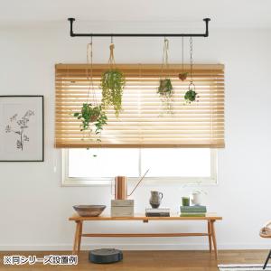トーソー ハンギングバーH-1 天井付Cタイプ...の詳細画像2