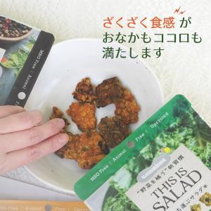 KAWAIINE THIS IS SALAD ...の詳細画像1
