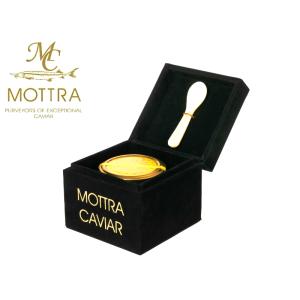 最高級フレッシュキャビア オセトラ 18g OSETRA  (ギフトボックス&シェルスプーン付)