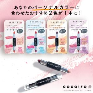 口紅 1本で2色入り cocoiro パーソナル...の商品画像