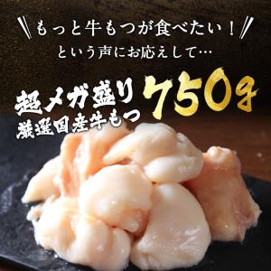 シン・超メガ盛り もつ鍋セット 5~6人前 国...の詳細画像2