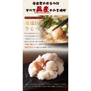 シン・超メガ盛り もつ鍋セット 5~6人前 国...の詳細画像5