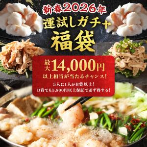 【赤字覚悟！最大14,000円分】運だめし ガチャ 福袋 2026 食品 豪華 酢もつ ねぎ塩 中華 もつ鍋 醤油