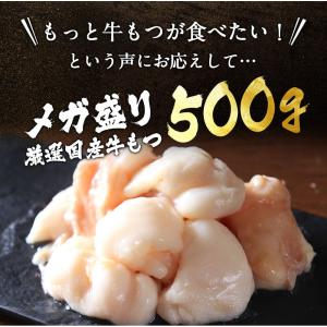 爆買 父の日 今だけ半額以下 シン・メガ盛り ...の詳細画像2