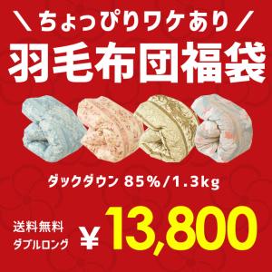 羽毛布団 福袋 ダブル ダックダウン85％ 1.3kg 日本製 パワーアップ加工 羽毛掛け布団 色柄おまかせ ニューゴールドラベル